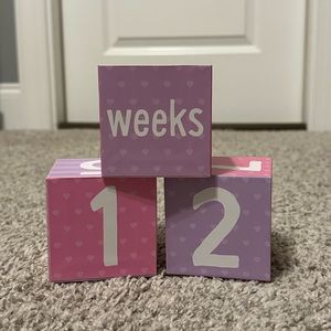 Tiny Ideas Progressive Time Photo Sharing Keepsake Age Blocks Pink & Purple